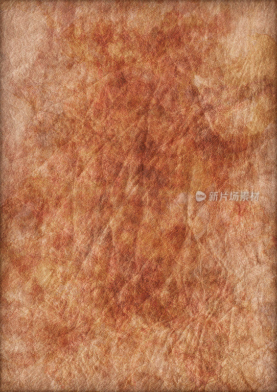 高分辨率动物皮肤羊皮纸皱褶斑驳Vignette Grunge纹理